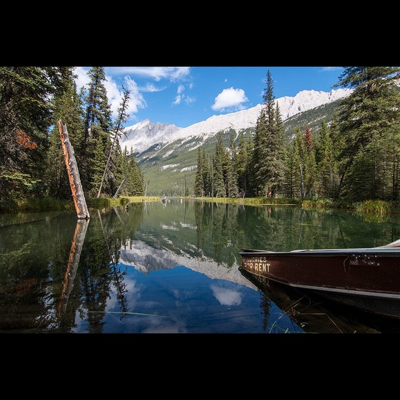 Meet your Posher, Lauren - Picture 6 of 7